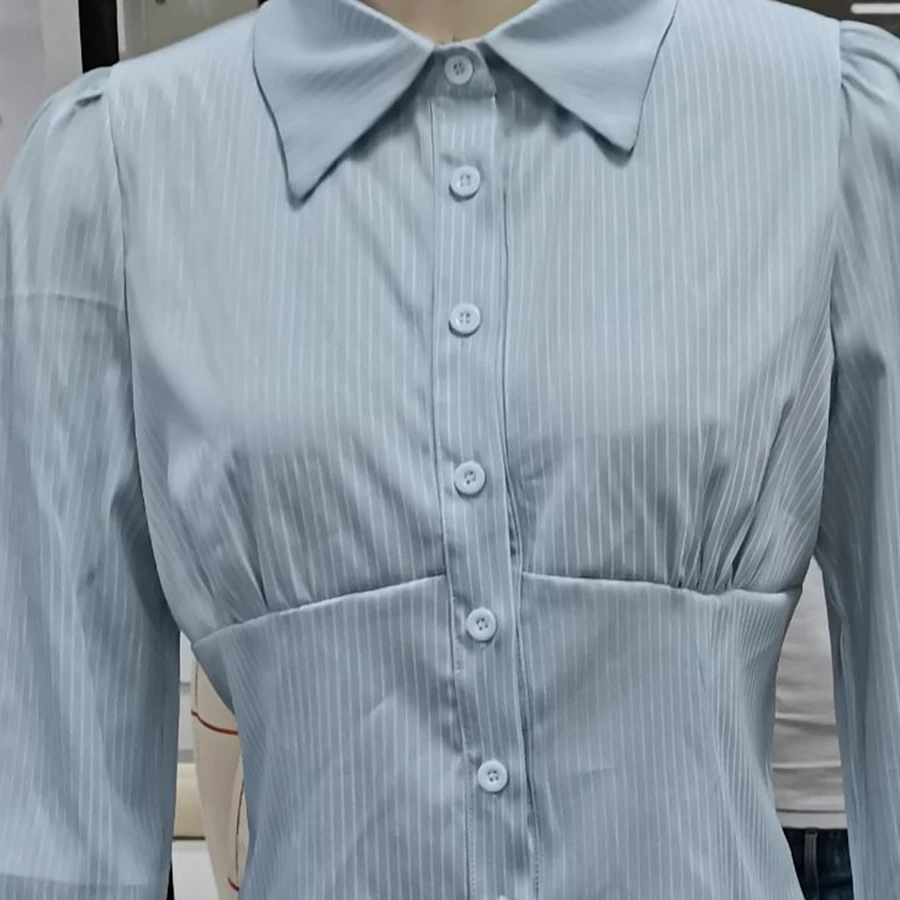 

Women's Fall Striped Shirts Fashionable Long Sleeve Lapel Slim Fit Button Down Blouse Blusas Para Mujer