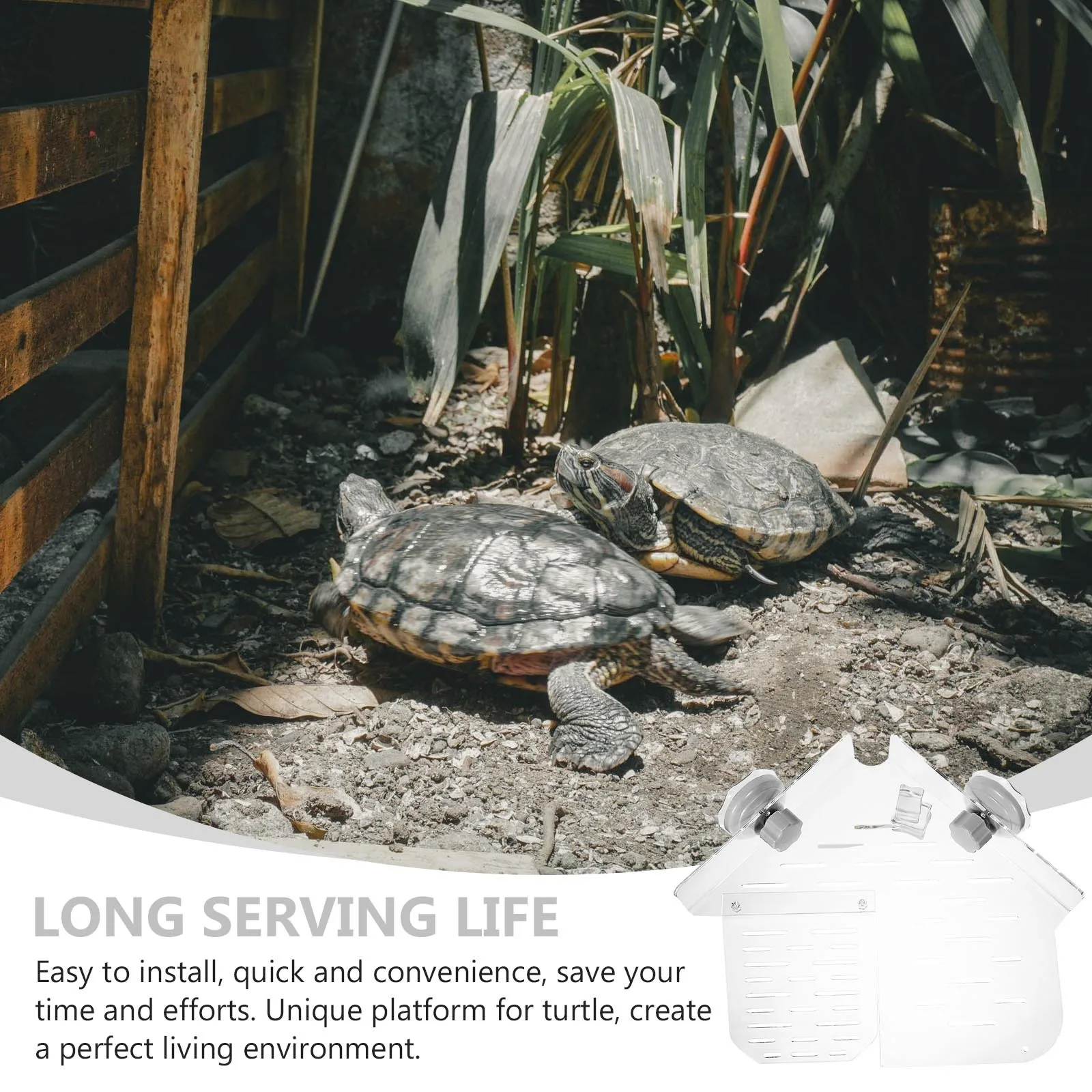 

Suction Turtle Basking Platform Acrylic Material Durable Resting Breeding Terrace Turtle Habitat Tortoise Resting Terrace