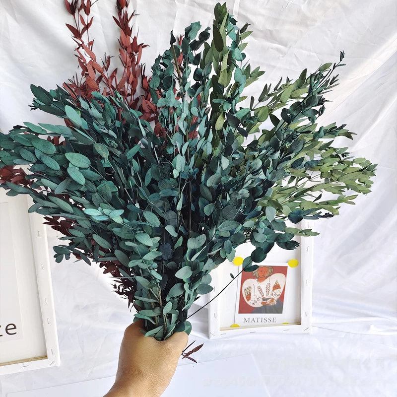 

Natural Eucalyptus Leaves Bouquet Dried Flowers Wedding Living Room Decor Dry Eucalyptus Flower Garden Office Decoration