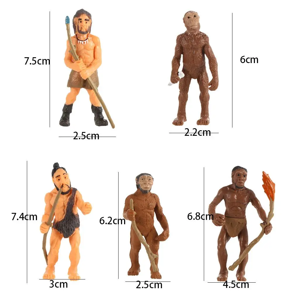 Simulación de juguetes de aprendizaje de animales, cocodrilo cognitivo, ciclo de crecimiento de vida, modelo humano primitivo, simulación de Cobra, evolución humana