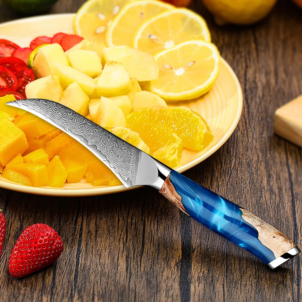 Bird\'s Beak Paring Knife 3.5” Perfect Kitchen Fruit Knife Authentic Handcrafted Japanese Knife Razor-Sharp Damascus Steel Blade