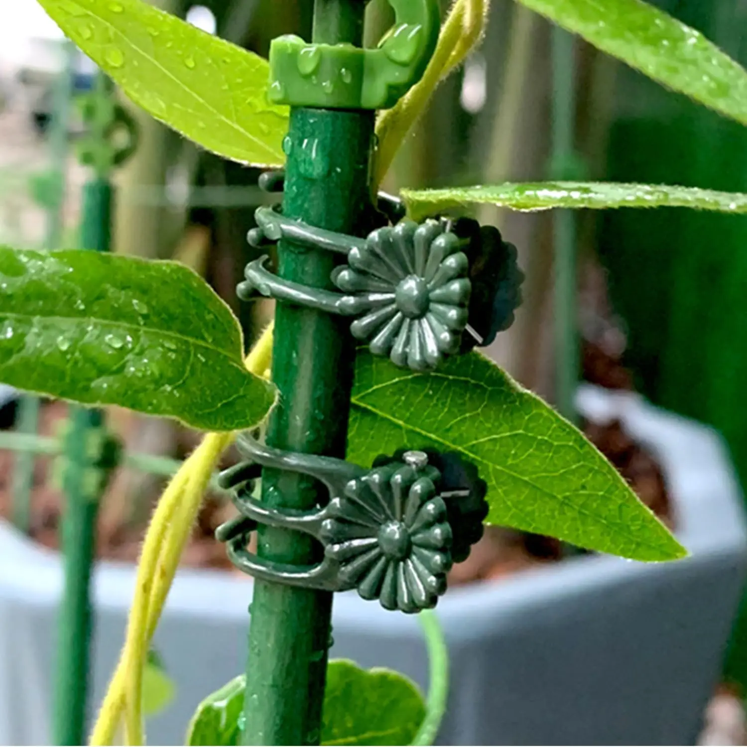 Orchid Fixing Support Clips Flower Stems Tied Bundle Branch Fixed Clip Plant Vine Plants Clamp for Climbing Grafting Garden Tool