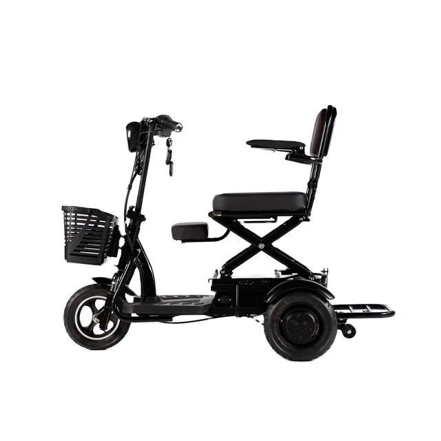 

China Tianjin Electric Vehicle Factory's Customized 48V350W Electric Tricycle Lightweight for Adults Use Passenger-friendly