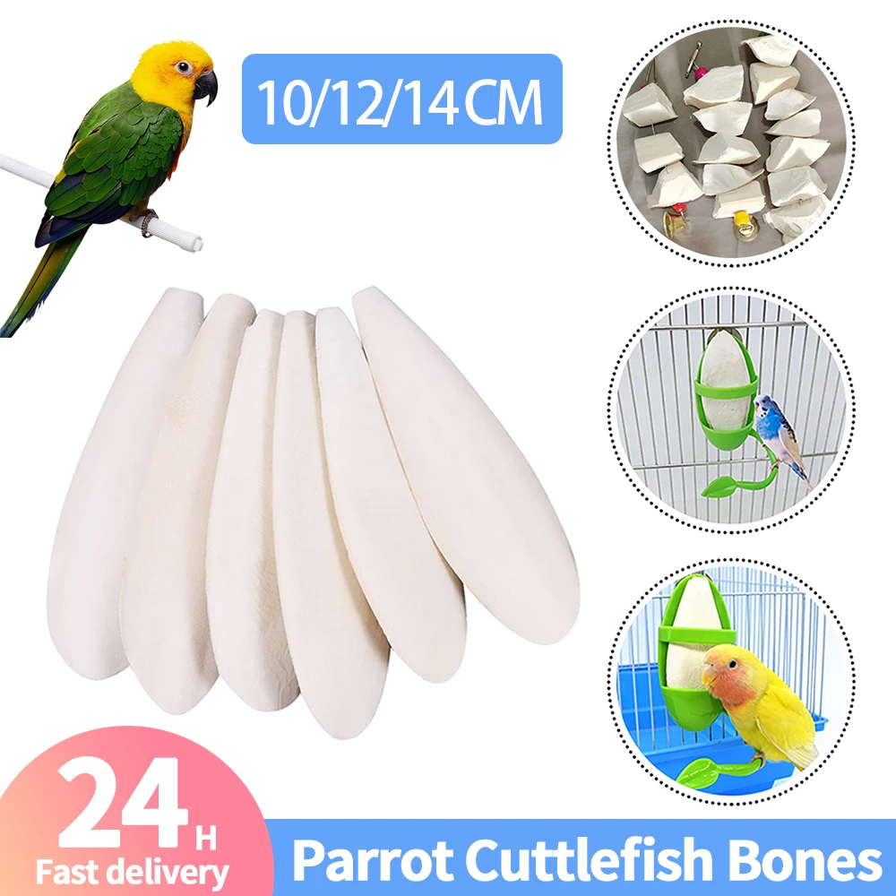 1PC Cuttlefish Bones Pet Parrot Perch Hamster Hanging Bell Calcium Supplements Molars Chewing Toys Bird Food Parakeet 7-10CM