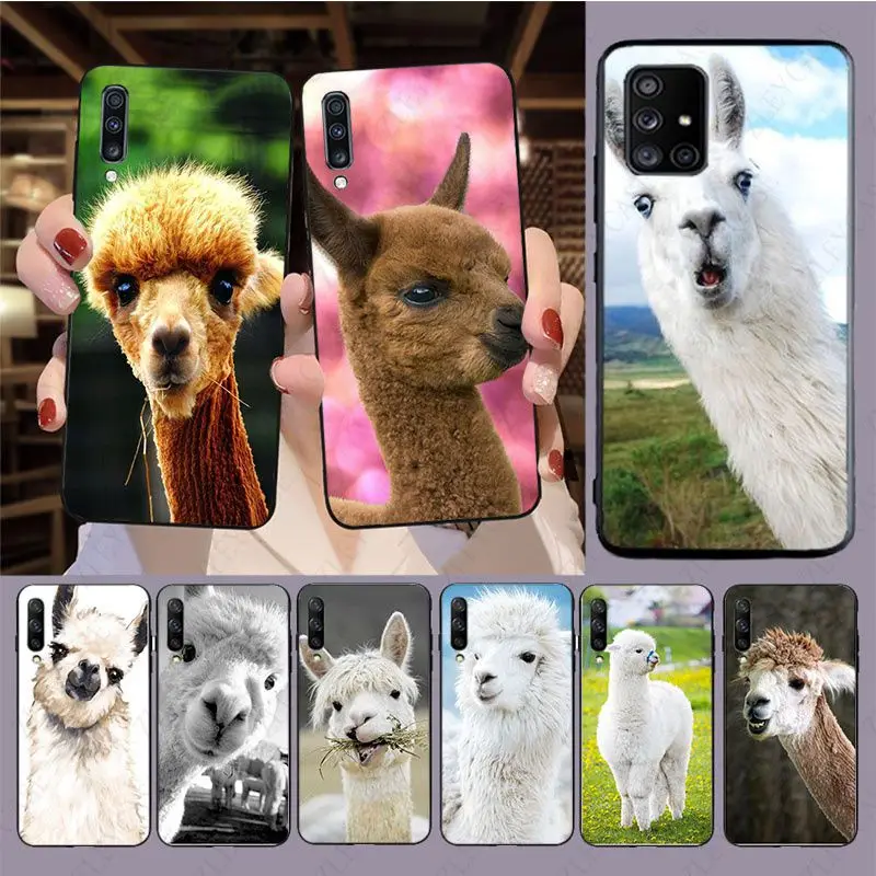 baby alpaca animal Phone Cover For samsung Galaxy A14 A53 A13 A12 A21S A40 A22 A23 A32 A34 A50 A51 A52S A54 A70 A71 A73 cases