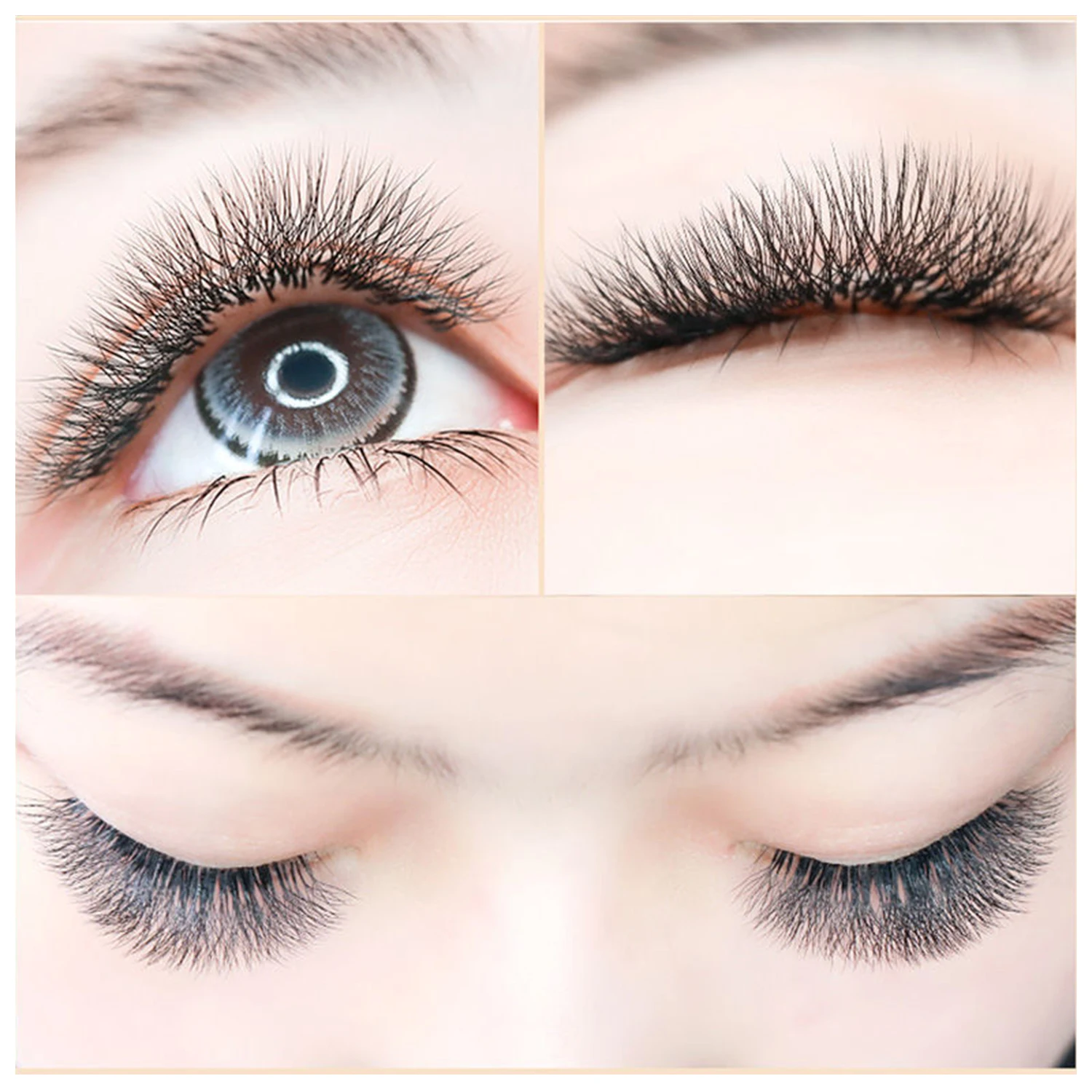 4D W Wimpernverlängerung 5D 3D Russland Volumen Wimpern Flauschige vorgefertigte Fächer Kleeblatt Nerz Faux Cil Lashes Dolly Hybrid Wimpern 3D Cilios – Detail 14