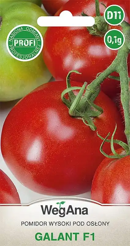 Galant F1 tall tomato 0.1g seeds-VegAna