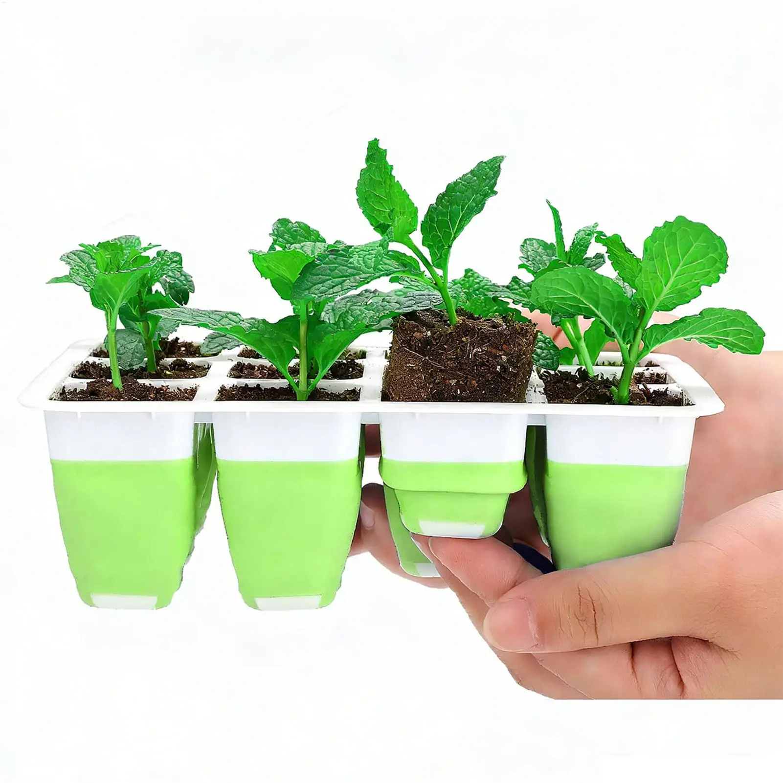 Pflanzenzucht-Set mit 12 Zellen, Silikon-Anzuchtschale für Zimmerpflanzen, Garten-Anzuchtschale, Pflanzen-Starterset, Saatgut-Startertöpfe, Pflanzschalen