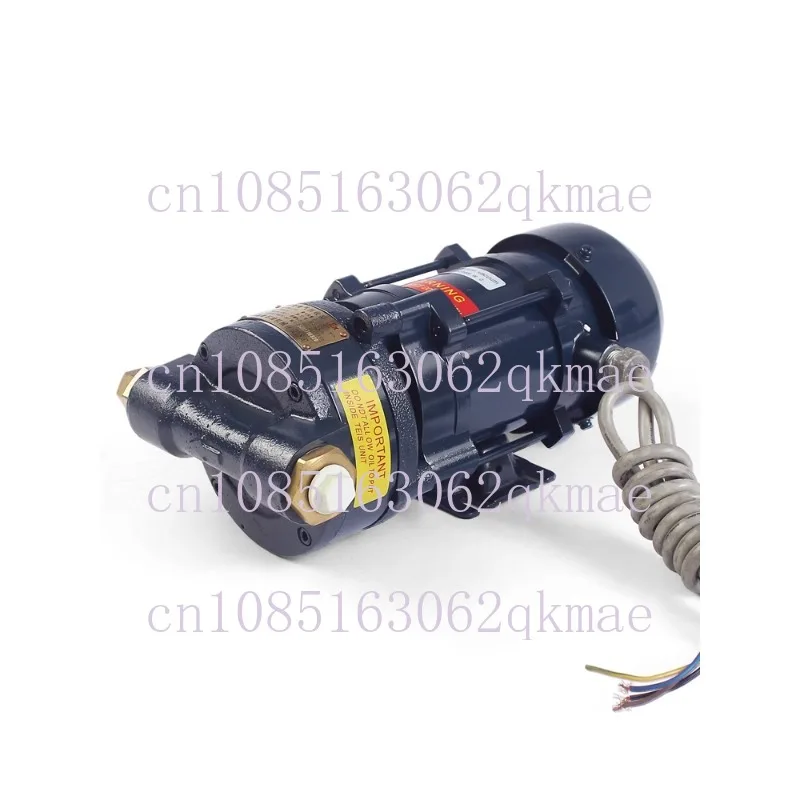 Oil and Gas Recovery Vacuum Pump Explosion-Proof Explosion-Proof Dispersed 220 V380v Tanker Oil Pump Head