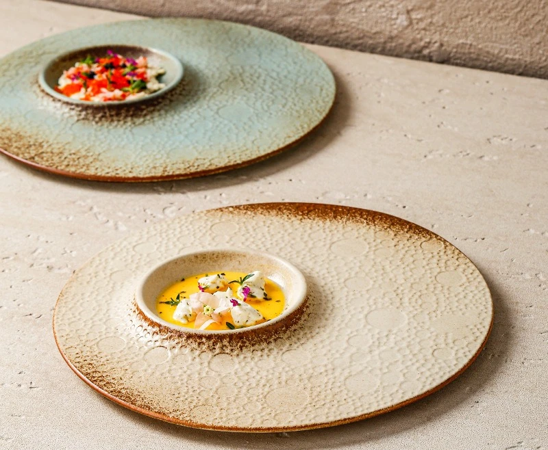 10 بوصة فرقعة الصقيل طبق سيراميك الرجعية الحجري طبق فندق مطعم أواني الطعام الإبداعية #2