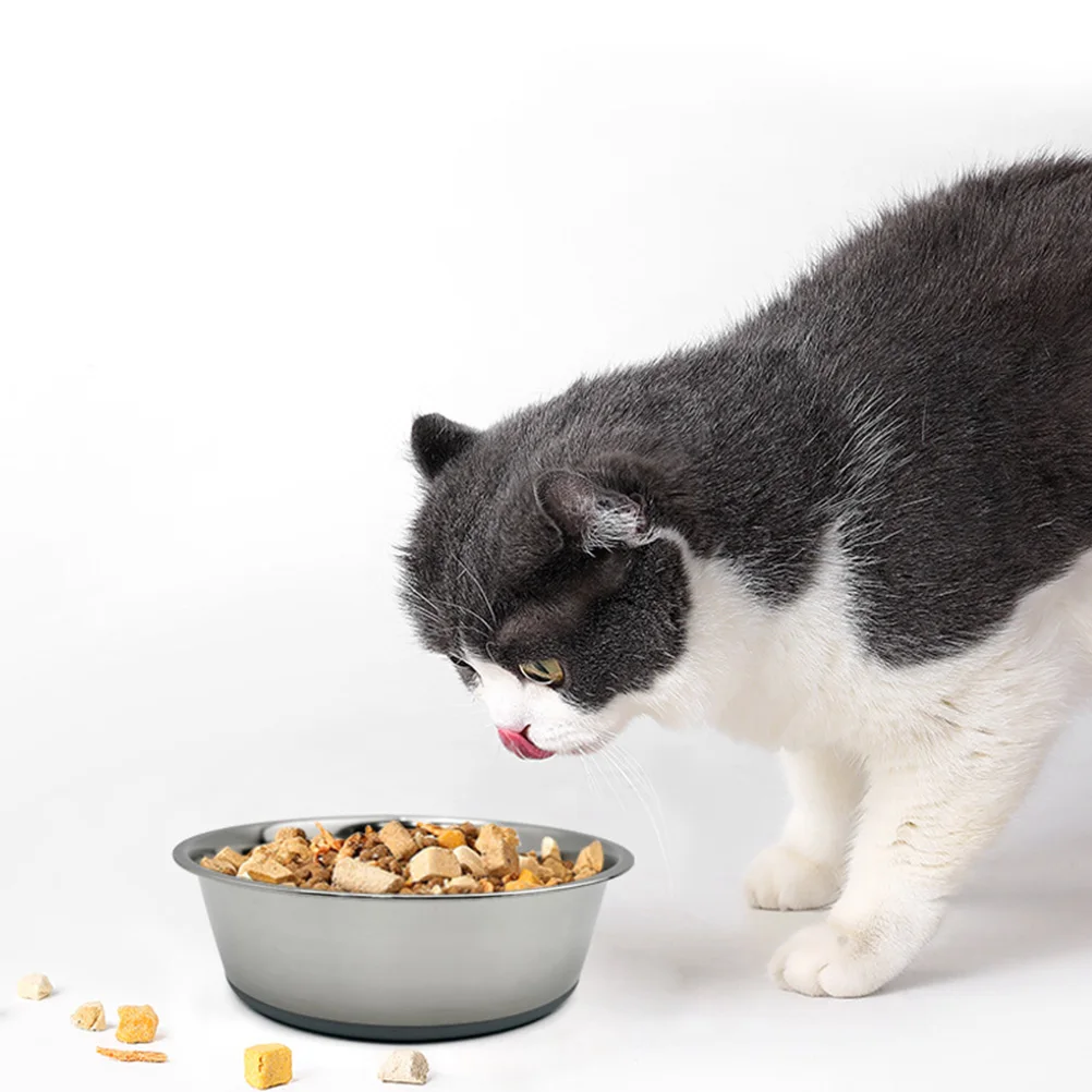 

Dog Feeding Bowl Reusable Stainless Steel Pet Supply Non Slip Design Durable Tpr Material Easy to Clean Stainless Steel Cat Bowl