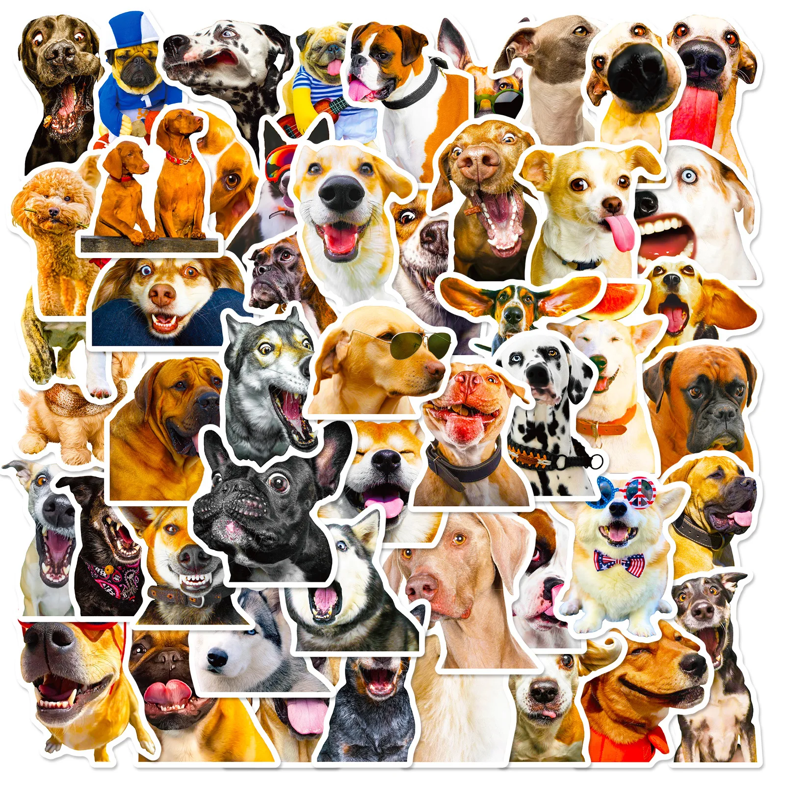 2024 New Realistic Cute Dog Animal Stickers Cartoon iPad Computer Helmet Water Cup Guitar DIY Scrapbook Toy Decoration Wholesale