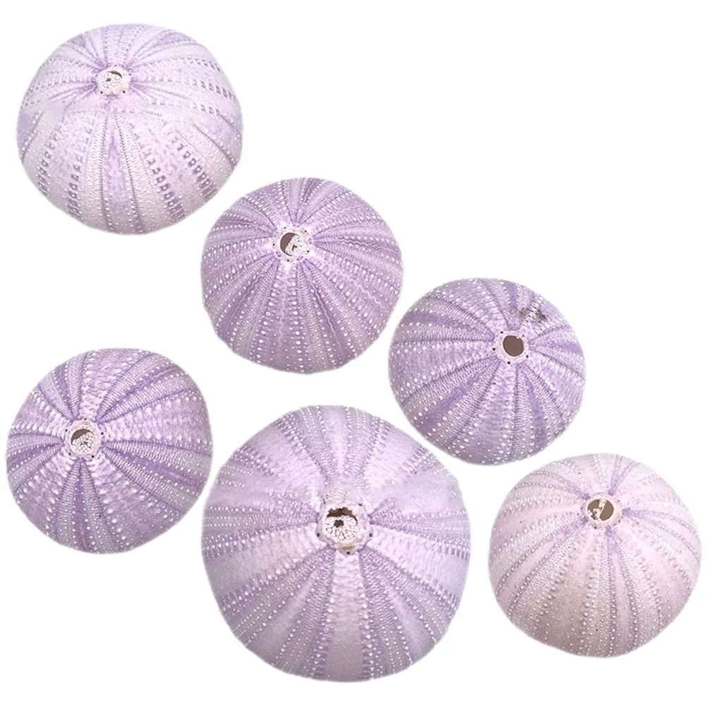 

6 Pcs Sea Shells 4 6CM Decorative Aquarium L scape Fish Tank naments Home Office Desktop Plant Holder