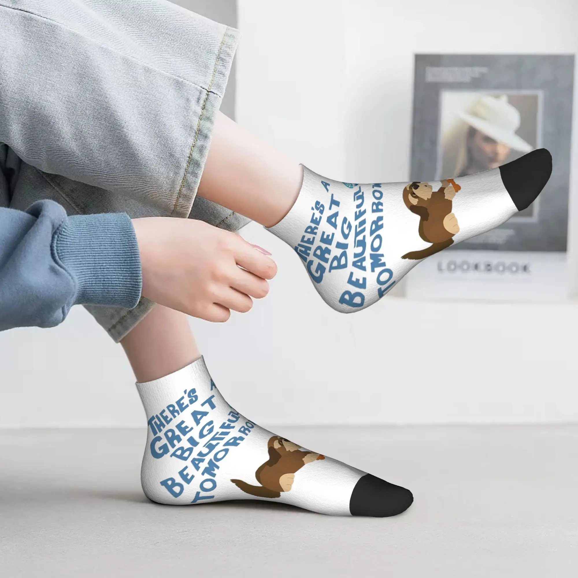 

Носки All Seasons Man Has A Dream, впитывающие пот носки в стиле Харадзюку, повседневные чулки для мужчин и женщин, рождественские подарки