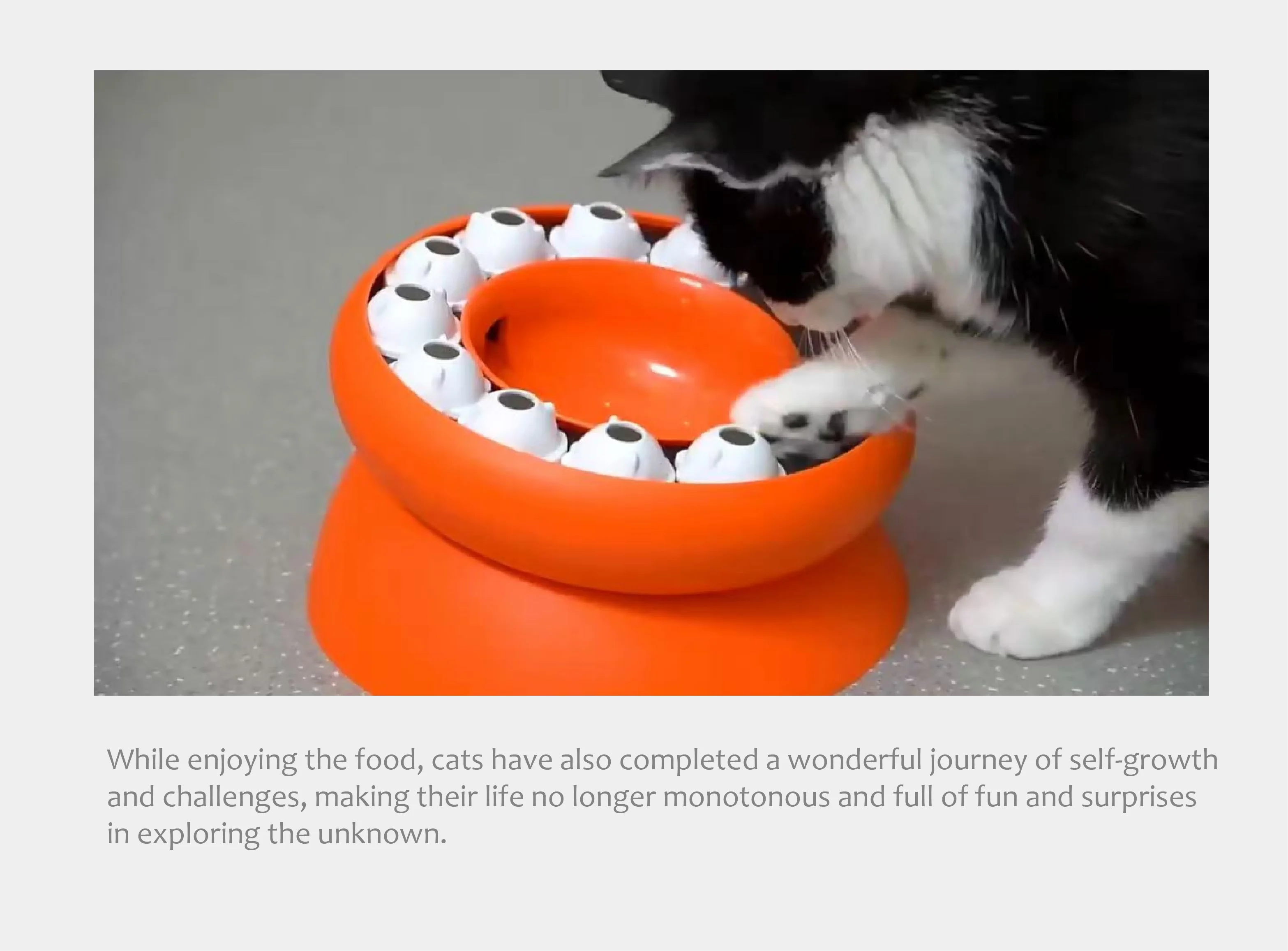 Rotating Puppy Food Dispenser Slows Pet Eating Prevents Cat Acne Chin Interactive Cat Puzzle Feeder