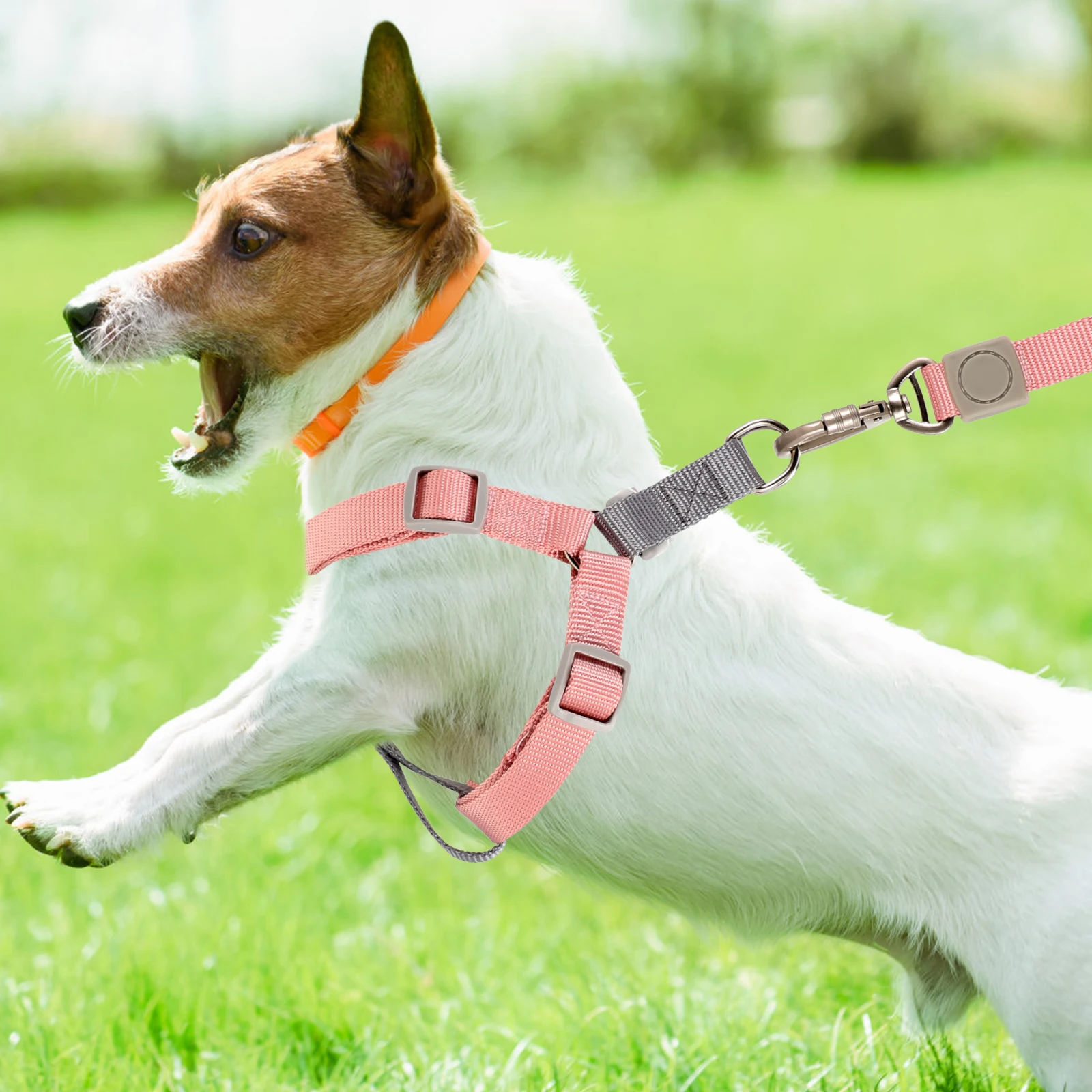 

-ring Dog Harness Leash Set Adjustable Small Large Dogs Polyester Lightweight Compact Outdoor Activity