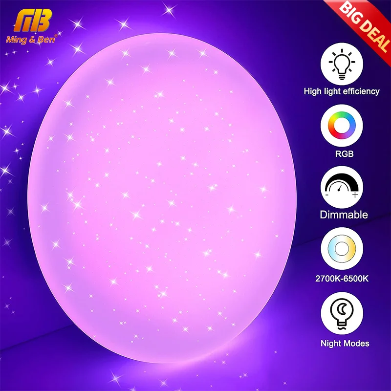 Modern Remote Control RGB Round Ceiling Light Neutral Light Indoor Home Decoration LED Light 24W Dimmable Bedroom Living Room