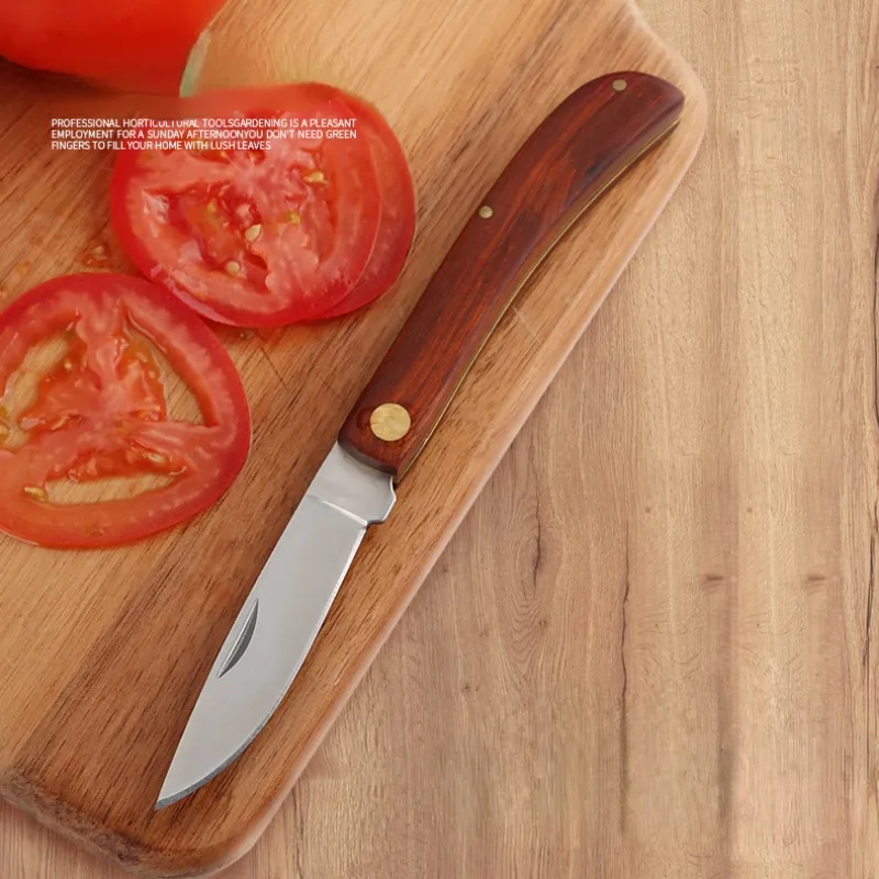 Stainless Steel Cut Fruit Knife Wooden Handle Folding Knife Household Melon Fruit Paring Vegetables Knife Pocket Knife