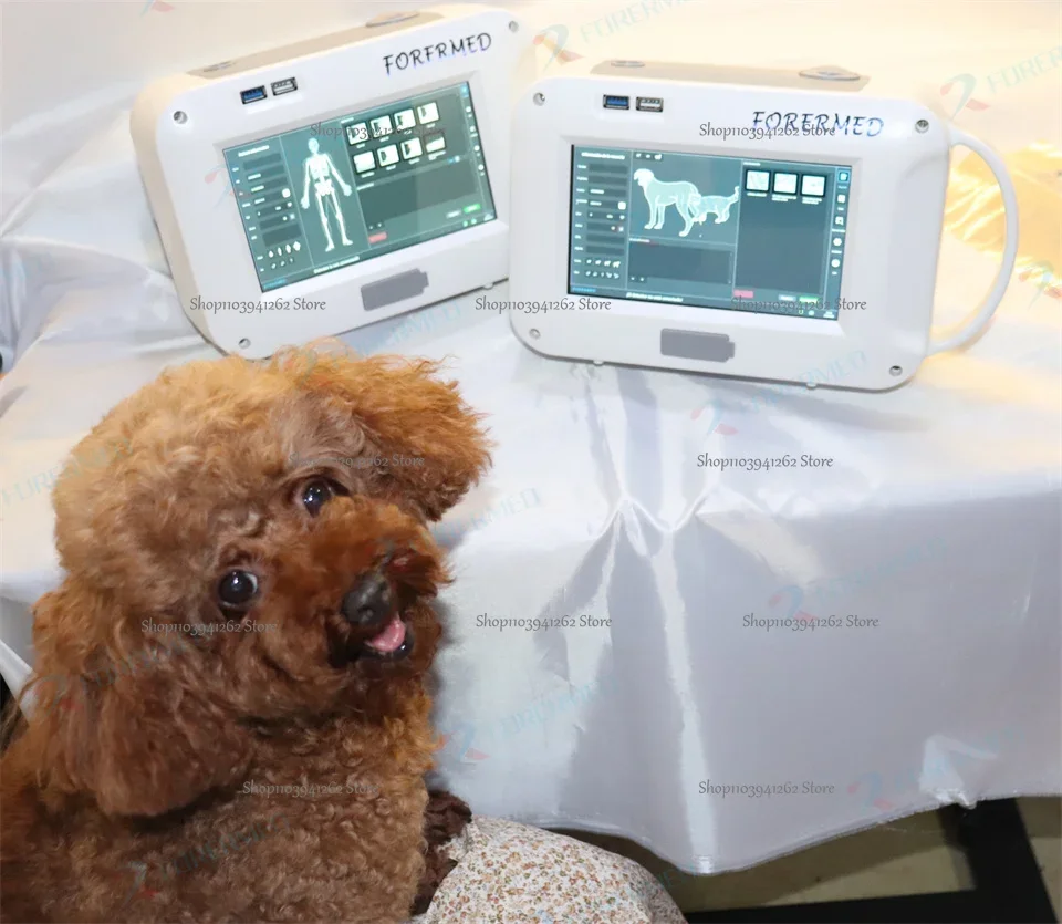 Mini Portable X Ray Machine Veterinary X Ray Machine Vet Digital X-ray Inspection Machine For Dog Cat