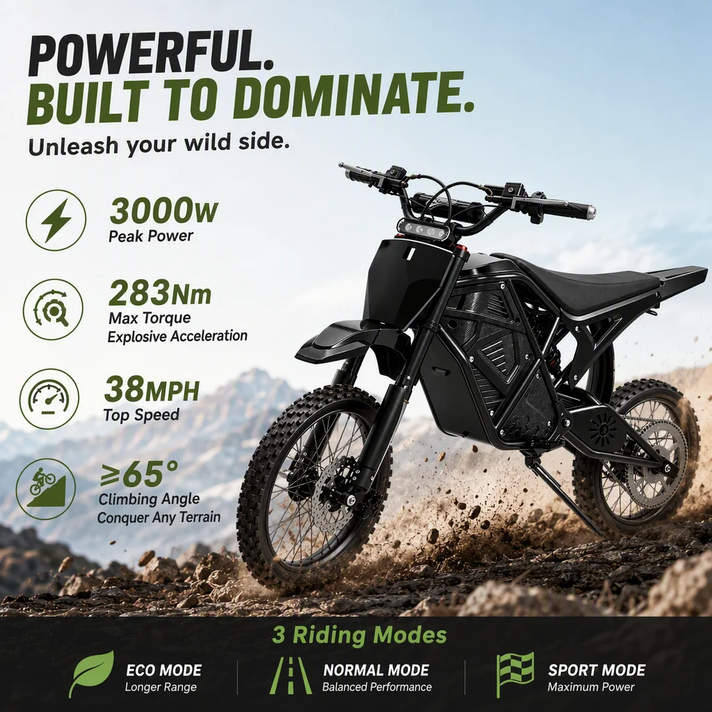 3000W Peak Electric Dirt Bike 48V 20.8Ah Battery 38MPH Adult Off‑Road E‑Bike Dual Suspension Dual Disc Brake All Terrain Electric Motorcycle for Adults