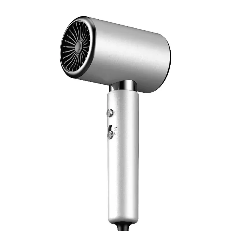 

Negative Ion Brushless Electric Ionic Blow Dryer Aroma Diffuser Hotel Salon Professional Hair Dryer for Hotels Households