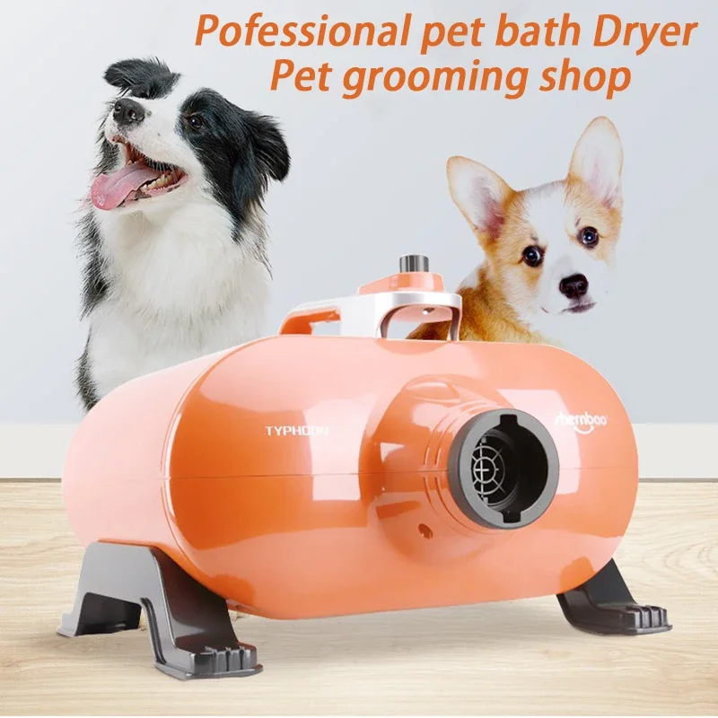 Professional Dog Dryers Pet Store Large Golden Retriever Dryers Blower Heating Dual Motor Dog Dryer Machine Silent with Stand