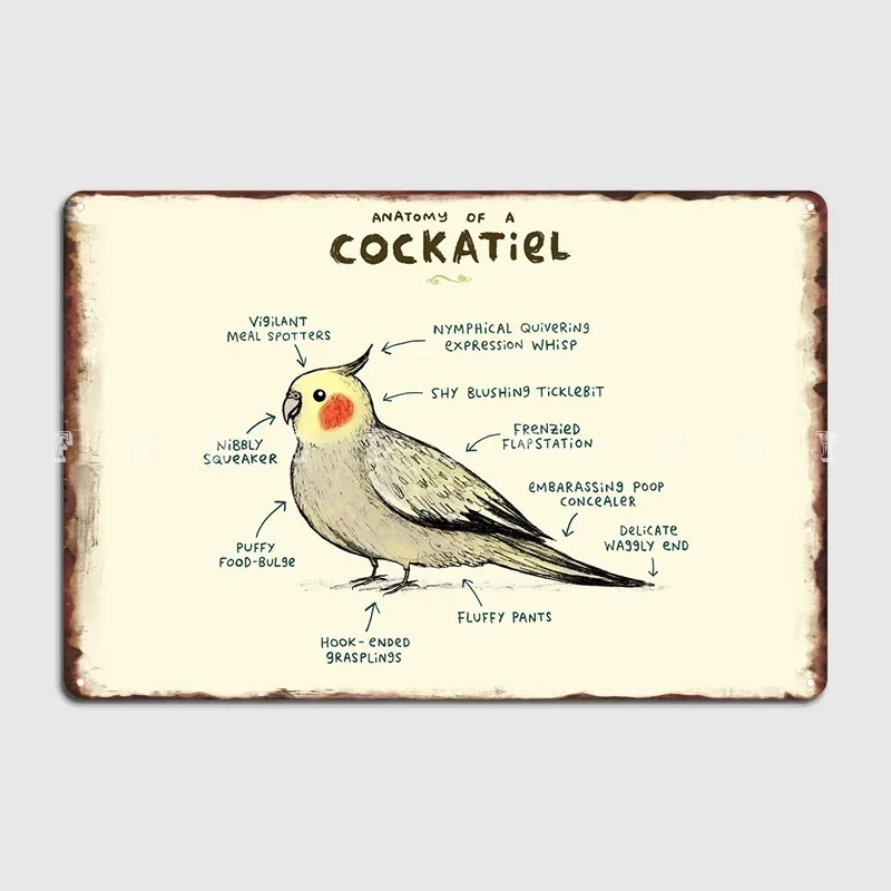 Anatomy Of A Cockatiel Poster Metal Plaque Cinema Garage Plaques Home Classic Tin Sign Posters