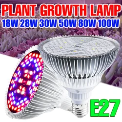 E27 LED Grow Light Bulb Full Spectrum Phytolamp E14 Indoor Hydroponic Plant UV Lamp Flower Seedling Vegetable Growth Cultivation