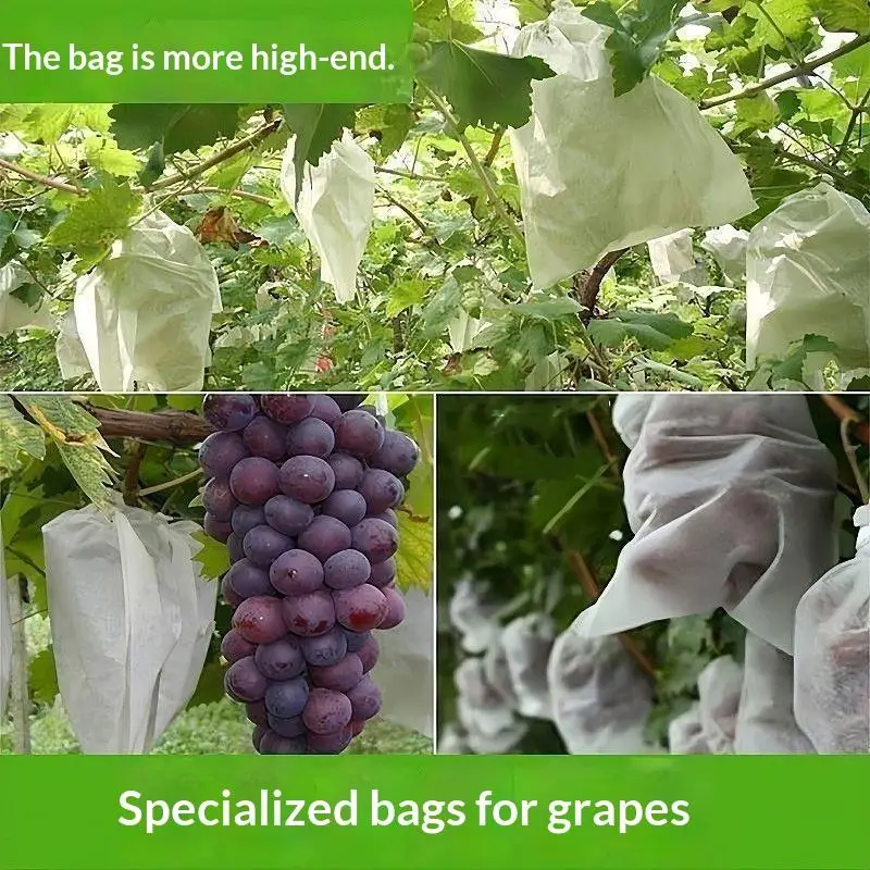 Durable Non Woven Bags for Plant Protection Secure Fruits from Insect Damage and Birds