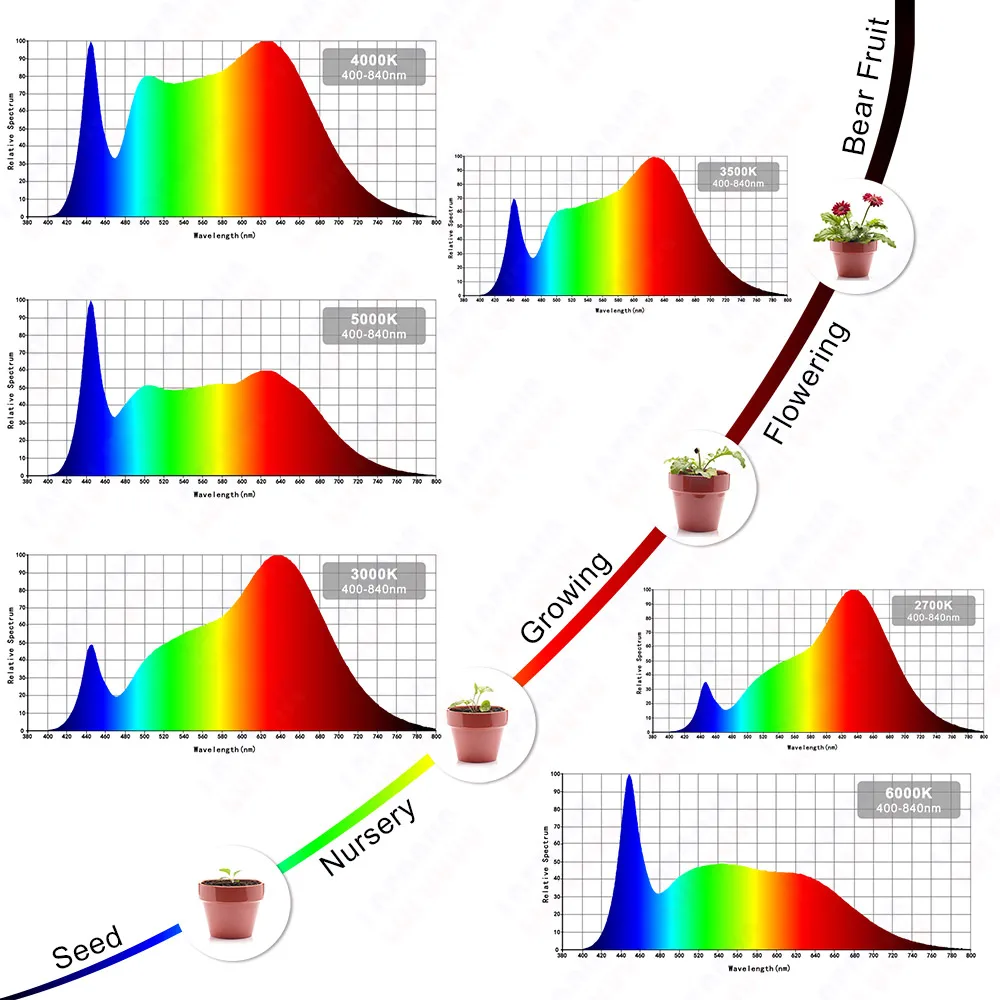 

Hydroponice 3W 5W 10W 20W 30W 50W 100W LED Chip 14mm 19mm 28mm COB Full Spectrum 400-840nm For Indoor Plant Grow Light Beads