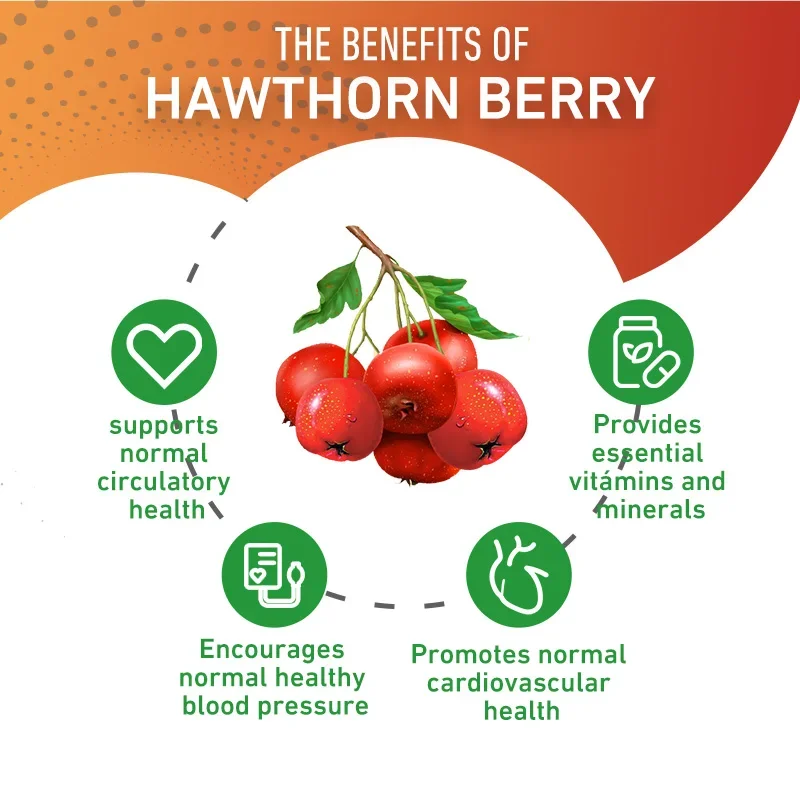 Hawthorn Berry - Digestive and Heart Health Supplement, Promotes Blood Circulation