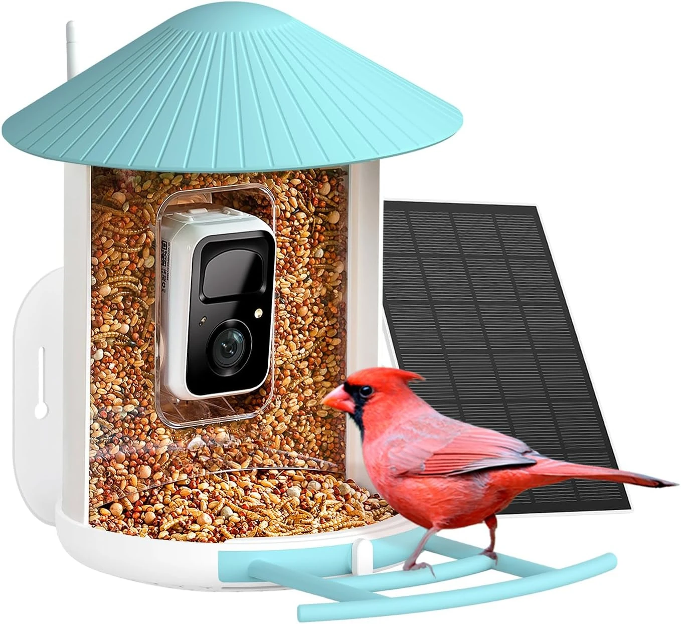 Comedero para colibríes, Suet Ball, comedero para gelatinas, captura automática de vídeos y detección de movimiento para pájaros, regalo ideal para la familia