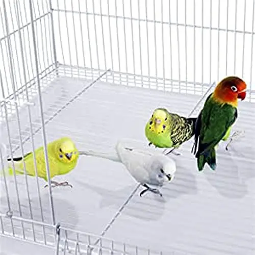 Lot of Ten Aviary Breeding Breeder Lovebird Finch Parakeet Finch Flight Cage 20"x14"x14"H