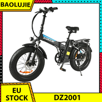 BAOLUJIE DZ2001 Folding Electric Bike 20*4.0 inch Fat Tire 48V 12Ah Battery 500W Motor 45km/h Max Speed 30-40km Range Disc Brake