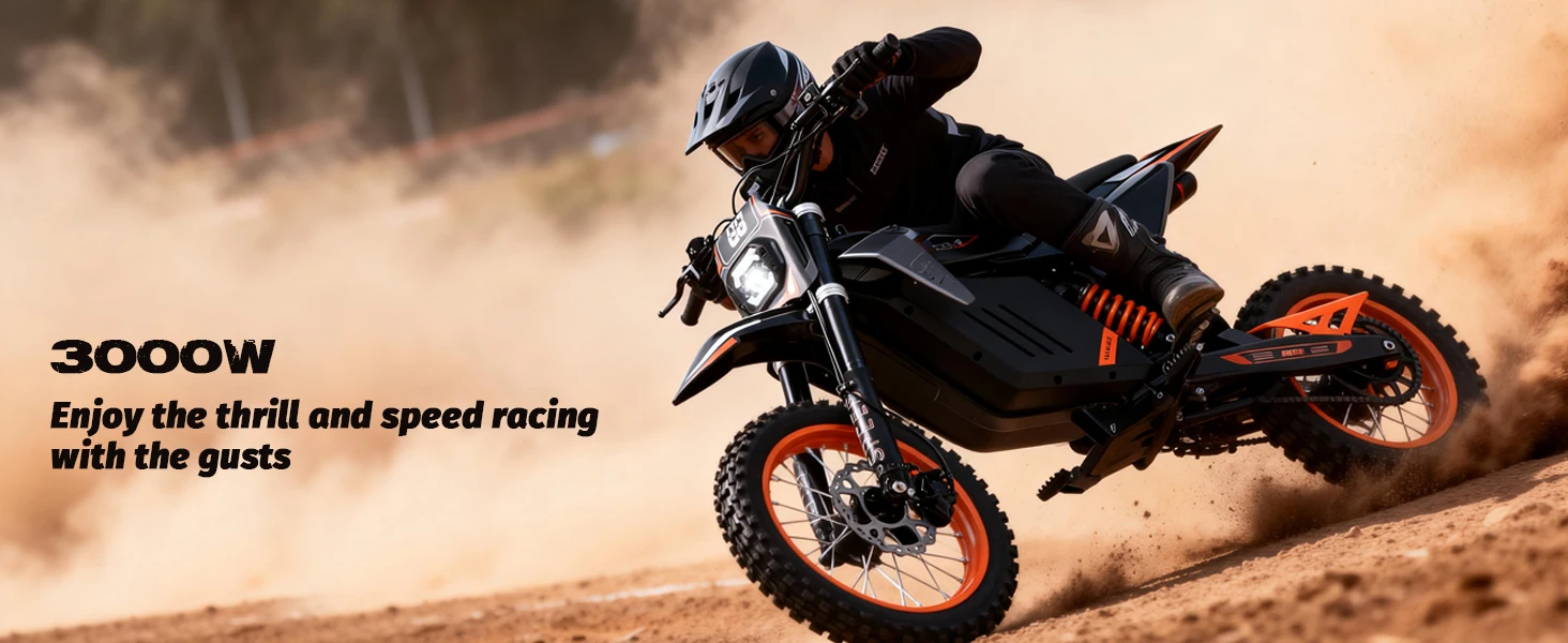 E-Moto FREEBOY Y88 E-Motorrad 3000W Leistungsstarker Motor 48V30AH Akku E-Motorrad Hydraulische Bremse Offroad-Mountainbike Elektrisches Motorrad – Detail 1
