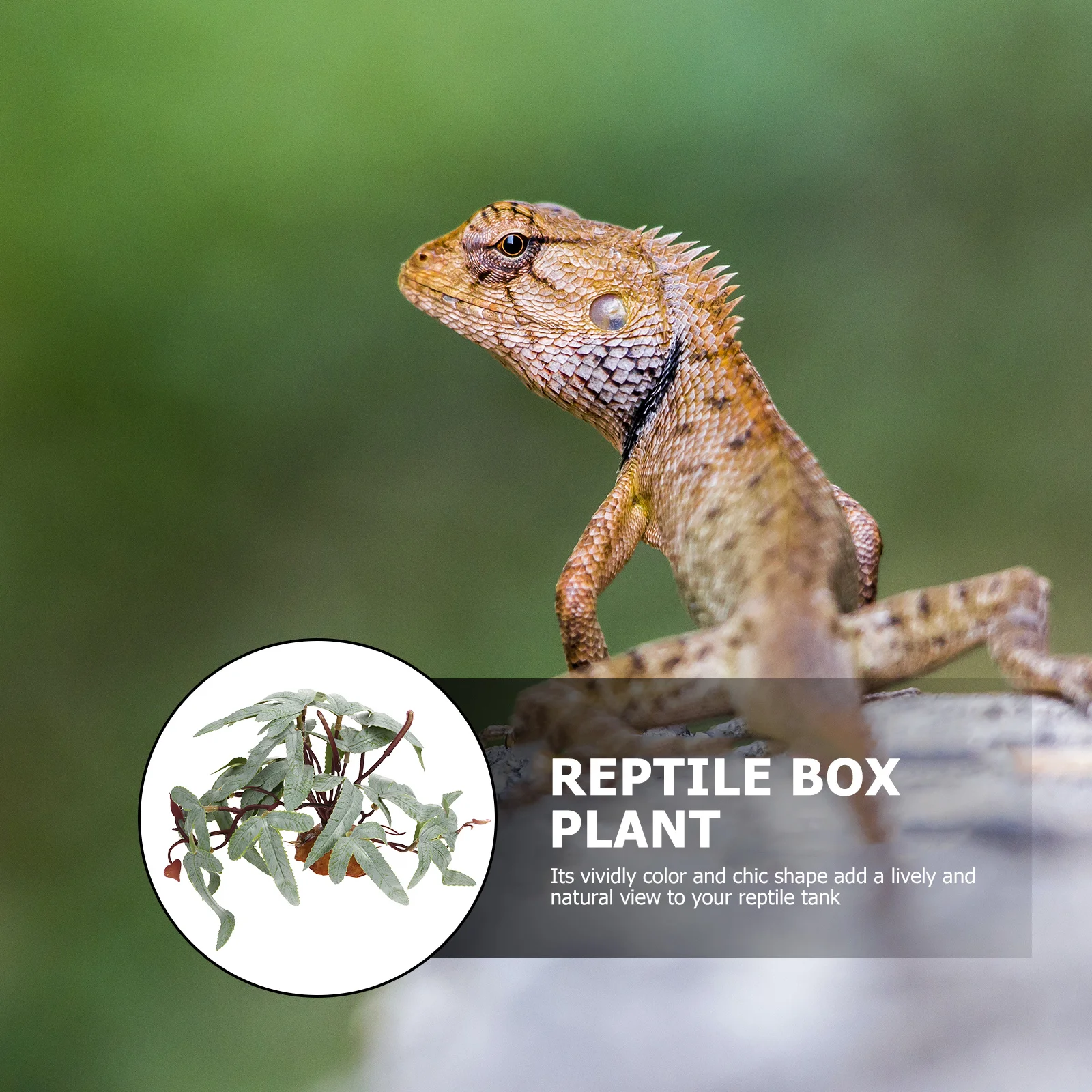 

Reptile Box Plant Artificial Green Plant Adornment Non-Fading Water-Resistant Quick-Drying Pet Crate Decoration Hermit Crab