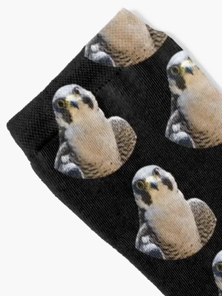 Peregrine falcon Socks shoes anime with print Women's Socks Men's