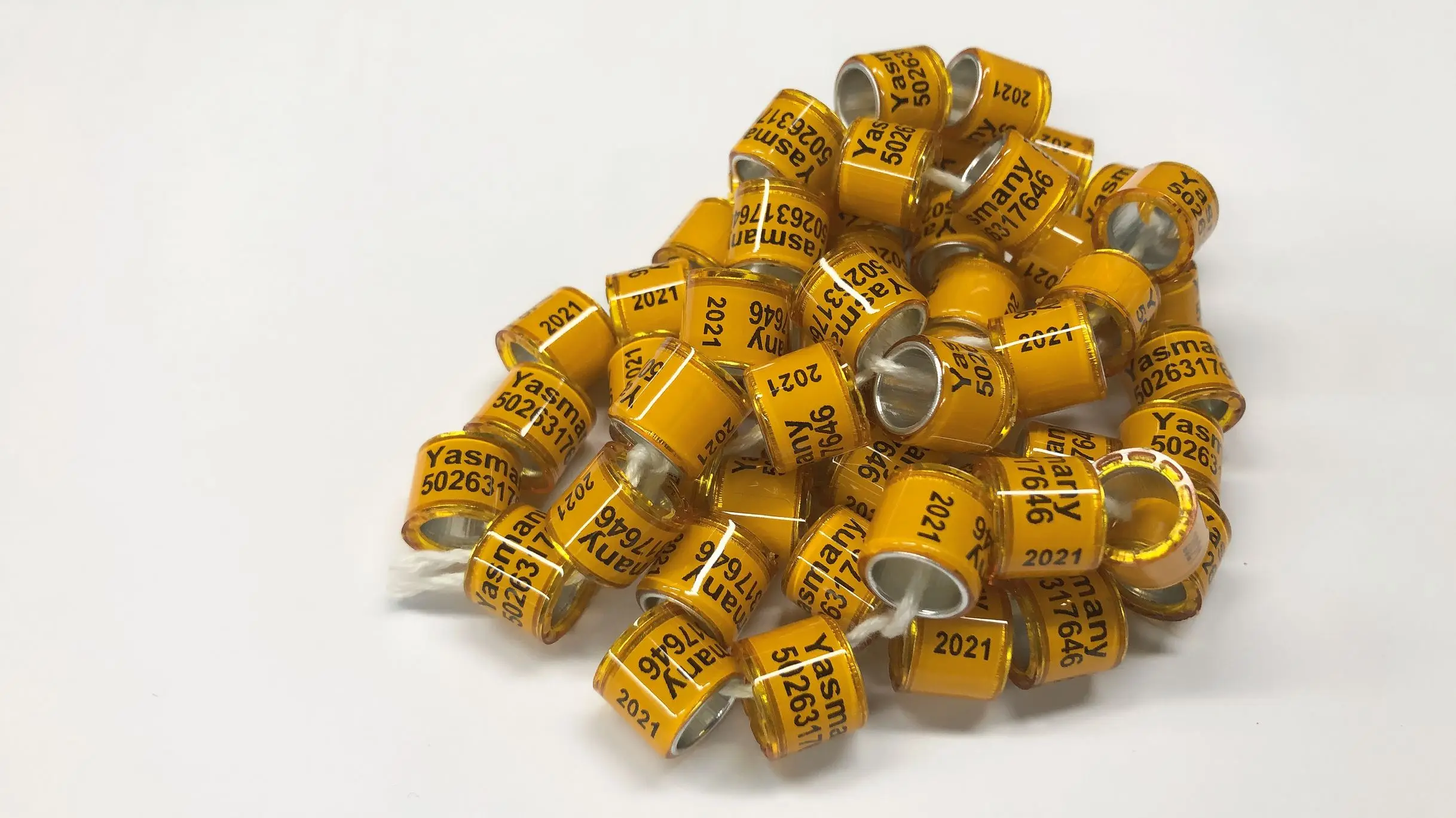 

50pcs pigeon set/Mark digital identification ring/meat pigeon ring pigeon foot ring bayonet digital ring