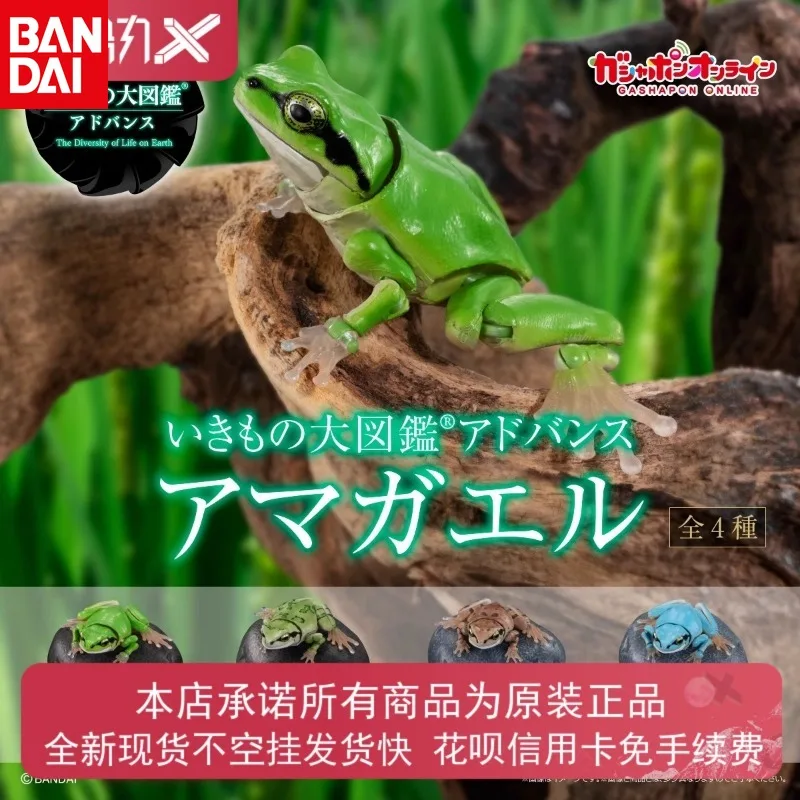 BANDAI Simulated Animal Model Rhacophorus Hylachinensis Different Style Models Active Joint Action Figure Desktop Decoration