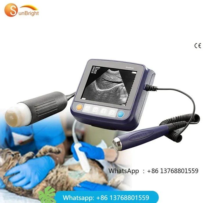 Veterinary Ultrasound Cat Dog Portable Laptop Type Veterinary Ultrasound