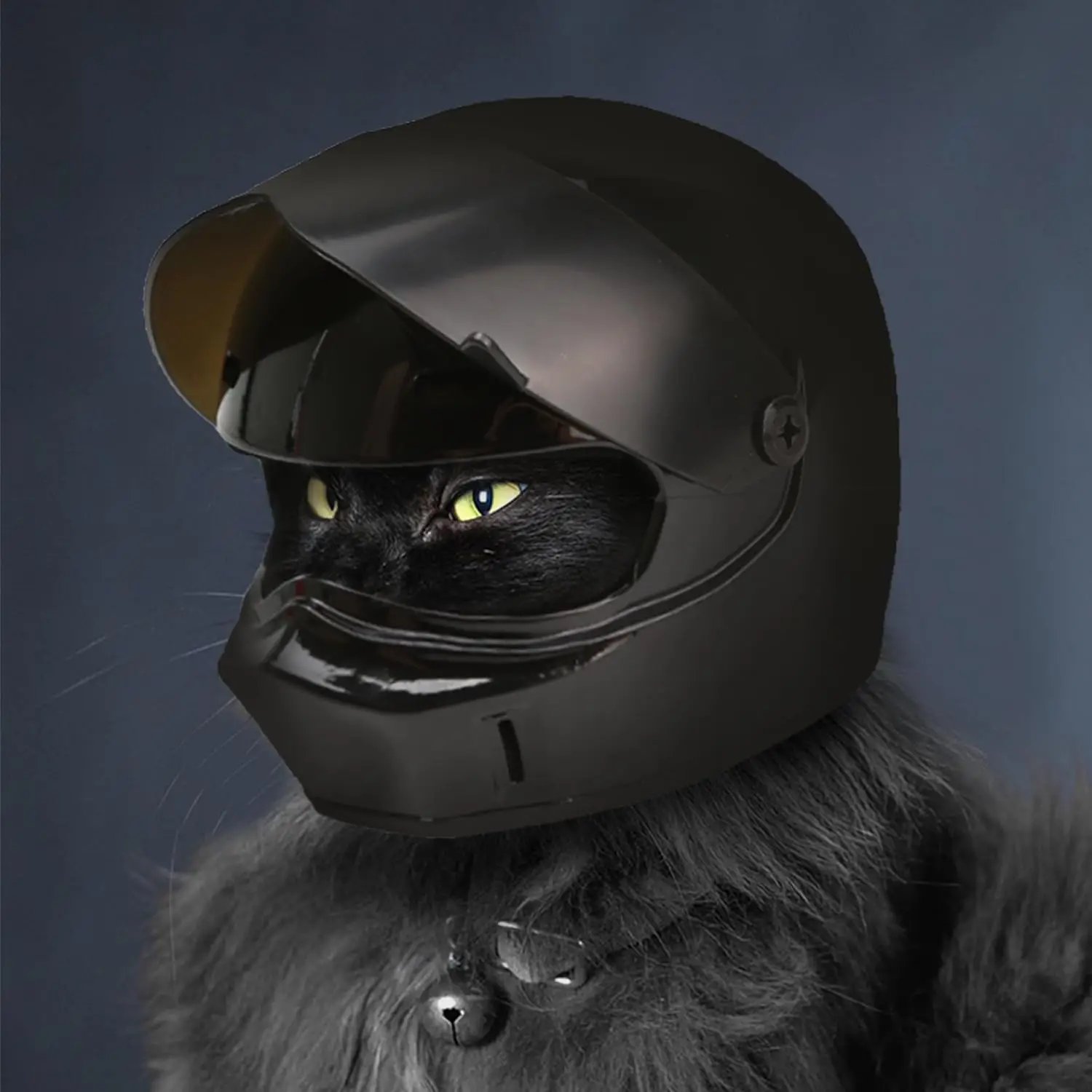 Katzen-Motorradhelm Mini Haustier-Vollgesichtsschutzhelm Sicherer Dekorativer Foto-Requisiten-Hut für Kleine Welpen Kätzchen Katzen