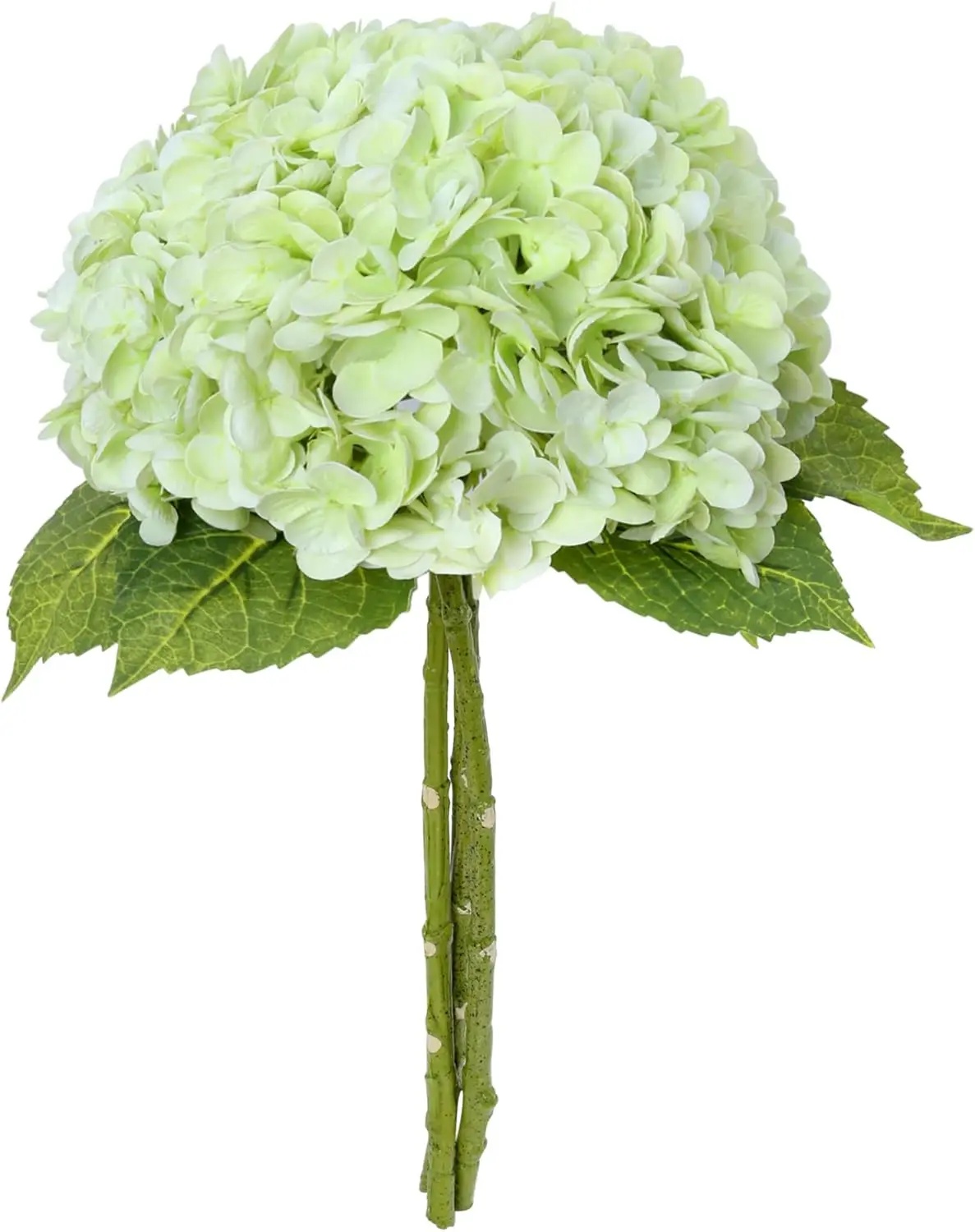 3 Stück 21 Zoll Weiße Hortensien Künstliche Blumen Große Hortensien aus Latex Realistische Hortensienblüten für Hochzeit und Heimdekoration – Detail 10
