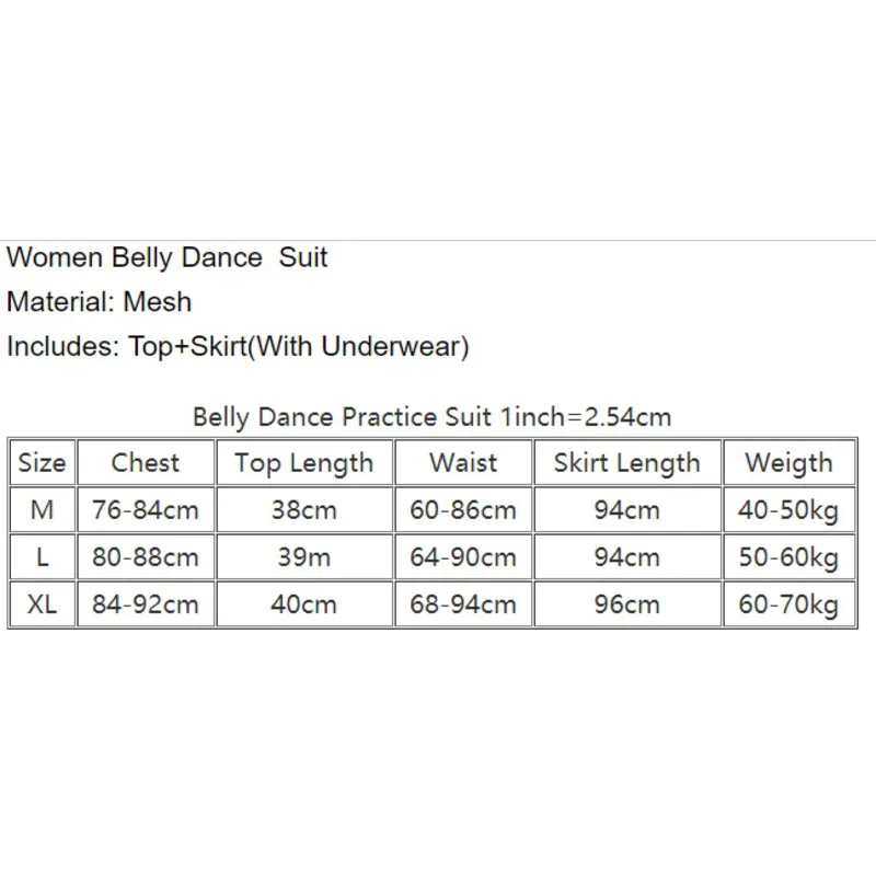 ملابس تدريب الرقص الشرقي للنساء ، تنورة شبكية مثيرة للإناث ، مقاس كبير ، ملابس شرقية للمبتدئين ، ملابس رقص شرقي ،