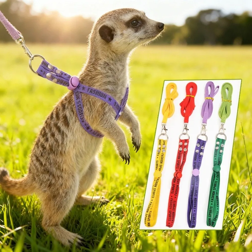 Portable Adjustable Rabbit Towing Rope Escape Proof Comfortable Ferret Harness Leash Soft Ferret Anti Loss Rope Travel