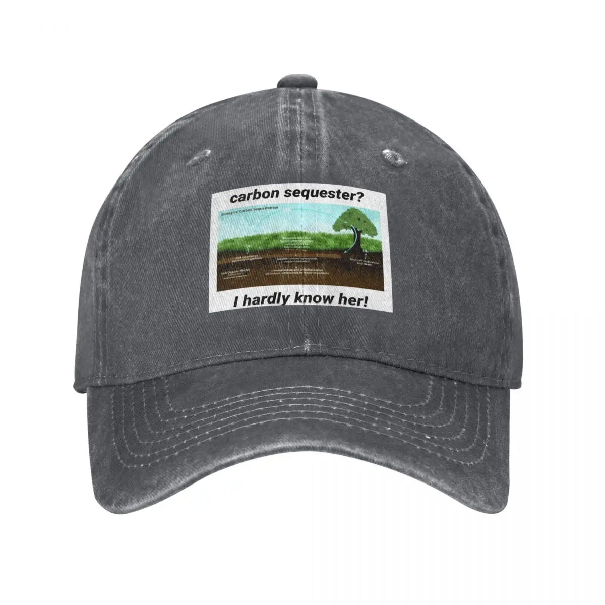 Carbon Sequester? I hardly know her Baseball Cap Dropshipping Hat Beach party Hat Brand Man cap Caps Male Women's