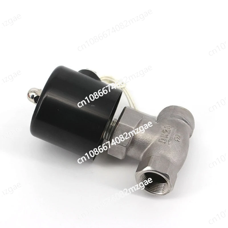 Stainless steel thread buckle steam solenoid valve DC24V high temperature solenoid valve AC220V normally closed thread
