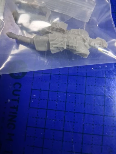 Buyer photo of this resin kit