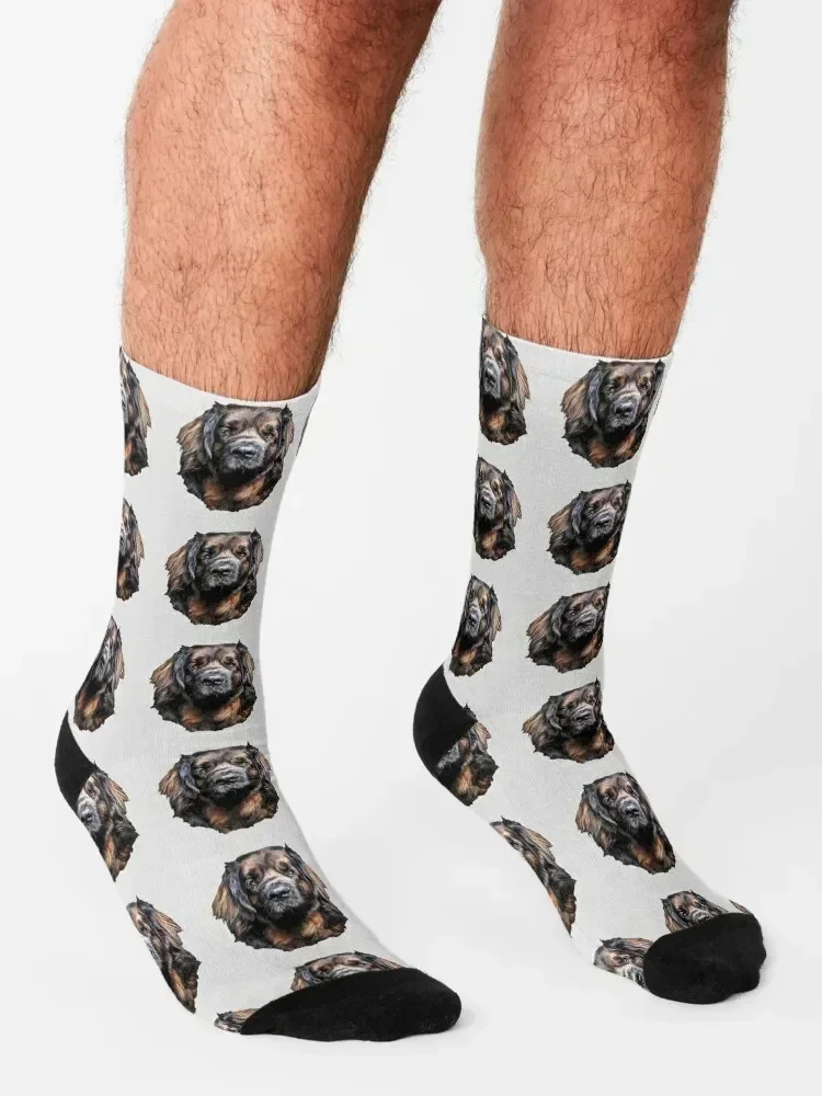 Leonberger - A stunning Dog! Socks sports and leisure hiking designer brand Christmas Socks Women Men's