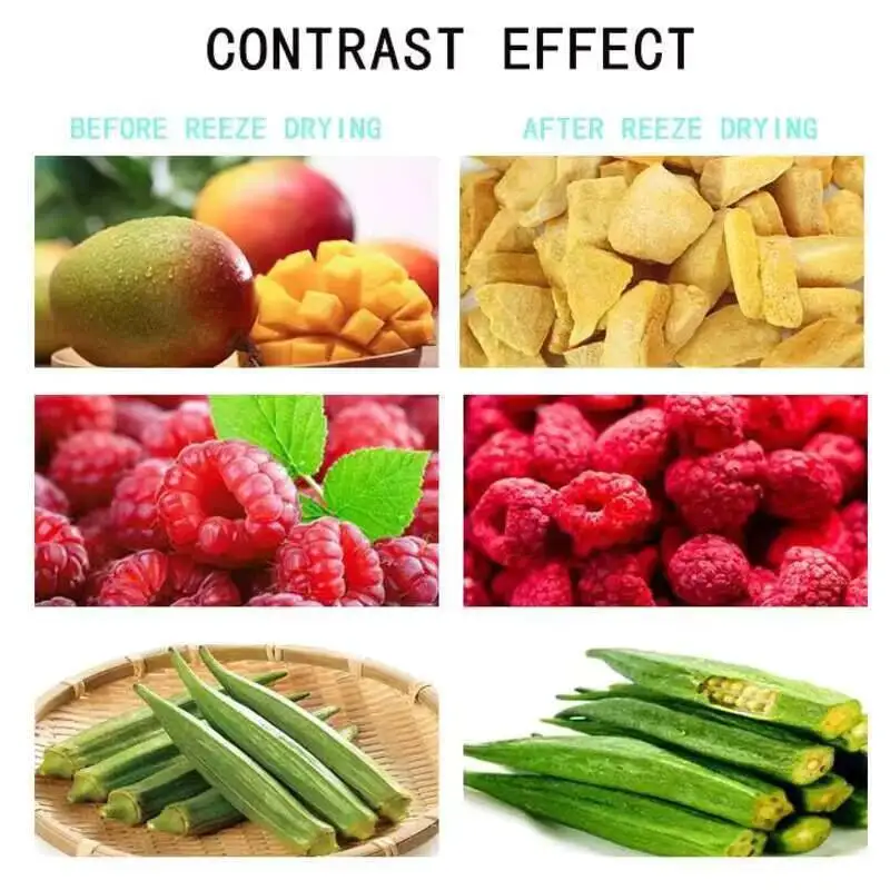 كجم تجفيف منزلي مجفف ساخن بيع تجميد الخضروات الفاكهة المجففة للأغذية