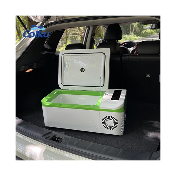 

Family Travel Cost-Effective 20L Mini Car Refrigerators DC Portable Freezer 12V 24V Smart Fridge With Screen